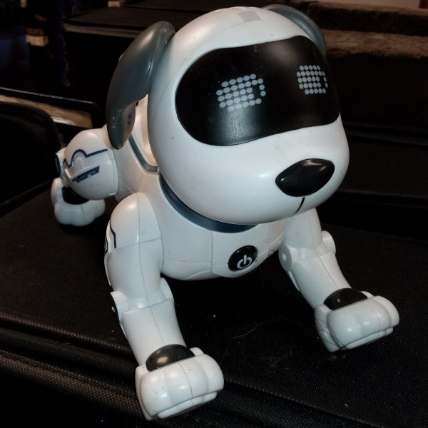 Robo Dog