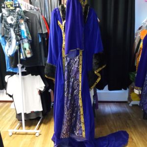 Anne Boleyn cosplay costume